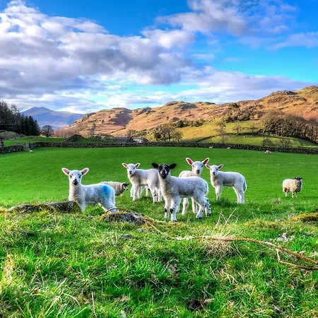 Hotel The Grand At 3*