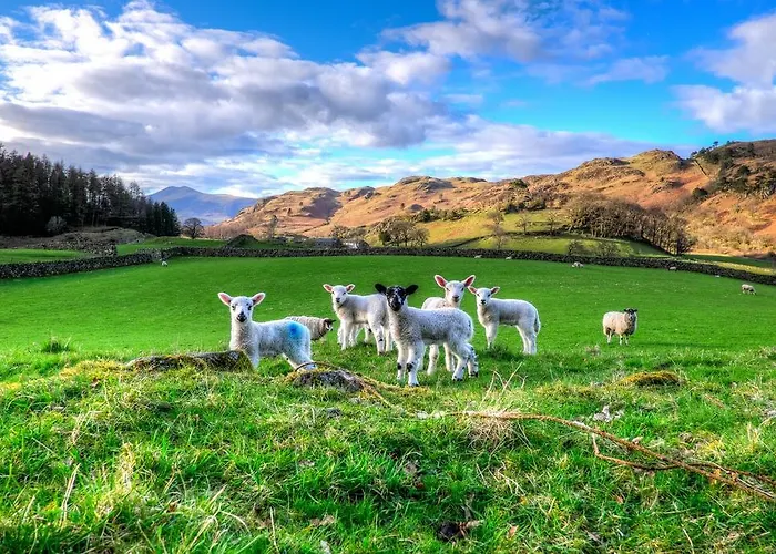 Hotel The Grand At 3*